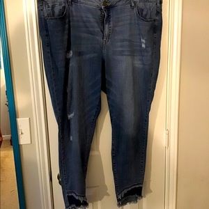 Lane Bryant Jeans